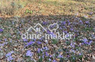 Grundstück zu kaufen in 22929 Hamfelde, Baugrundstück