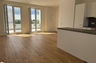 Wohnung mieten in 68782 Brühl, Repräsentativ: Penthaus-3-Zi.Whg. mit zwei Dachterrassen und Tageslichtbad