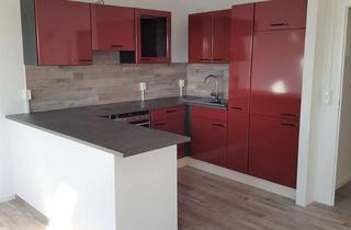 Wohnung mieten in 99610 Sömmerda, Sehr schöne helle 2-Raum Wohnung inkl. Einbauküche im Zentrum von Sömmerda zu vermieten!