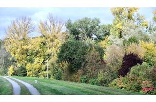 Grundstück zu kaufen in 19309 Lenzen, Grundstück am Elbdeich in der Lenzerwische – Natur pur und unverbaute Weite