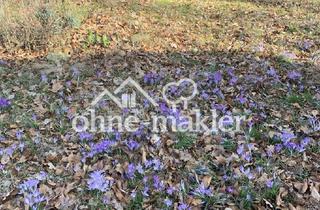 Immobilie kaufen in 22929 Hamfelde, Baugrundstück