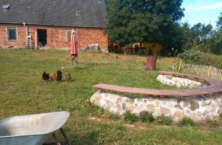 Haus kaufen in 23996 Bad Kleinen, Bad Kleinen - 1 ha Grundstück mit Altbestand und Baugenehmigung für 2 tolle WE