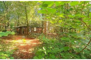 Haus kaufen in 21279 Hollenstedt, Hollenstedt - #ÄLTERES, KLEINES HAUS, 2.800QM² WALDGRUNDSTÜCK,OHNE COURTAGE#