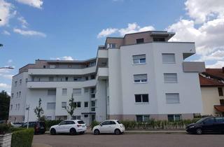 Wohnung mieten in 74399 Walheim, Hochwertig ausgestattete 3-Zimmer-Wohnung in ruhigem Wohngebiet