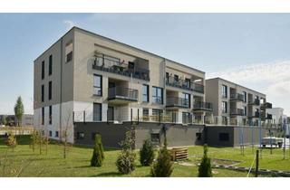 Wohnung mieten in Telawiallee 25, 88400 Biberach an der Riß, Sonnige 3 Zimmer Wohnung mit kleinem Gartenanteil in hochwertigem, gepflegtem und ruhigem Haus