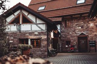 Wohnung mieten in Mühltalstraße 11B, 74722 Buchen, Helle 4-Zimmer-Wohnung mit Garten in idyllischer Lage im Mühltal (Buchen, Odenwald)