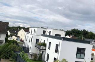 Wohnung mieten in 53721 Siegburg, Exklusive, neuwertige 2-Zimmer-Wohnung mit Balkon in Siegburg