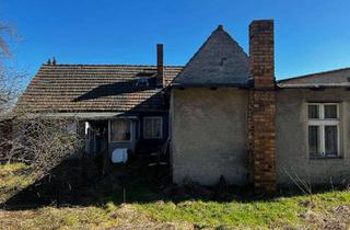 Haus kaufen in 03238 Sallgast, Renovierungsbedürftiges Haus mit Garage und großem Grundstück in Sallgast