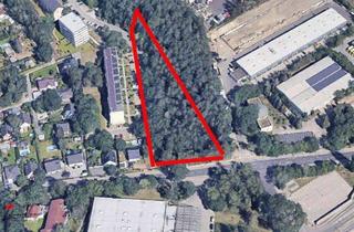 Grundstück zu kaufen in 14558 Nuthetal, Grundstück mit Zukunftsperspektive – ca. 4.915 m² Waldfläche in Nuthetal