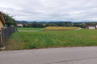 Grundstück zu kaufen in Reiter Straße 19, 83527 Haag, Großes Baugrundstück in ruhiger Wohnlage „provisionsfrei“