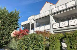 Wohnung kaufen in Wallstadter Strasse 40, 63811 Stockstadt, Indexmietvertrag mit 3,5% Rendite, renovierte 2-Zimmerwohnung mit Balkon/Einbauküche/E-Ladestation