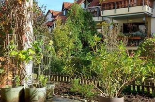 Wohnung mieten in 71642 Ludwigsburg, Sehr schöne 2-Zimmer-Wohnung mit Terrasse in ruhiger Lage am Favoritenpark in Ludwigsburg Hoheneck