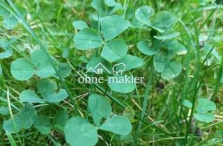 Grundstück zu kaufen in 12683 Berlin, Traumgrundstück ohne Provision