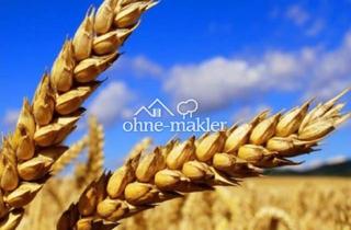 Grundstück zu kaufen in Tal, 92726 Waidhaus, Ackerland • Photovoltaik • Verkauf • Pacht - Komplettangebot in attraktiver Lage