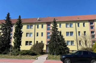 Wohnung mieten in Staffelderstrasse 20c, 39596 Arneburg, Helle 1-Zimmer-Wohnung mit EBK im 2. OG in Arneburg