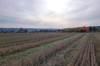 Gewerbeimmobilie kaufen in 95643 Tirschenreuth, Ackerland in der Nähe der deutschen Grenze