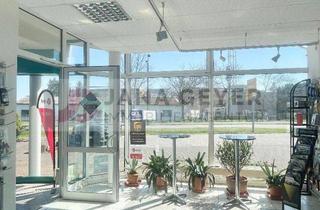 Geschäftslokal mieten in Schmiedeberger Straße 31, 04849 Bad Düben, BAD DÜBEN * PRAXIS / BÜRO / EINZELHANDEL mit LAGERFLÄCHE, GROSSER GARAGE und STELLPLÄTZEN