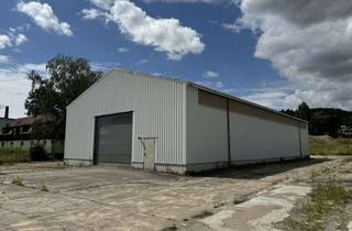 Geschäftslokal mieten in 01917 Kamenz, Kamenz - Lagerhalle zu vermieten