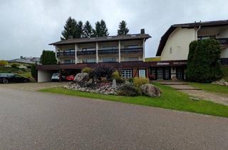 Wohnung kaufen in 79737 Herrischried, Großartige Ferienwohnung in gepflegter Anlage.