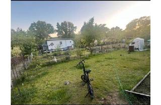 Haus kaufen in 15518 Steinhöfel, Steinhöfel - Garten Wohnung ohne melden