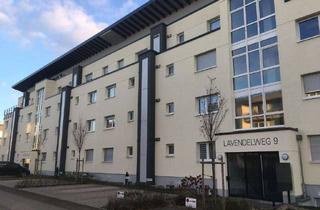 Wohnung mieten in Lavendelweg, 65451 Kelsterbach, 1 ZKB im Souterrain Kelsterbach von Privat