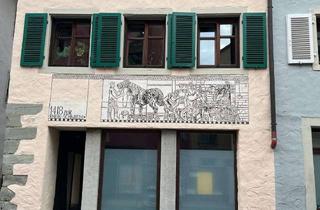 Wohnung mieten in 78462 Konstanz, Renovierte 1 Zimmer-Wohnung in der Niederburg Konstanz