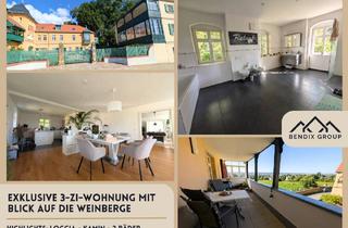 Wohnung mieten in 01445 Radebeul, Mieten: Exklusive 3-Zi-Wohnung - Hofmanns Palais Radebeul I Loggia, Kamin & Blick über die Weinberge