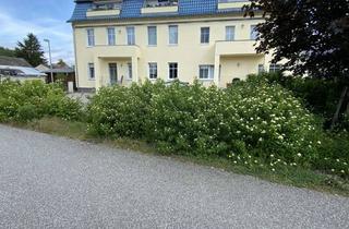 Wohnung mieten in Am Kanal, 15864 Wendisch Rietz, Tolle 2-Zimmer Wohnung nahe Scharmützelsee, Balkon, Einbauküche