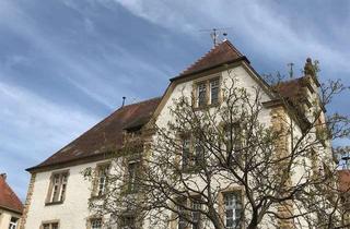 Wohnung mieten in Bismarckstrasse 14, 79379 Müllheim, Attraktive 2-Zimmer-Wohnung in Müllheim
