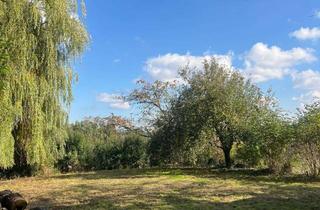 Wohnung mieten in 36304 Alsfeld, Helle 3-Zimmer Wohnung mit großzügigem Garten in Alsfeld-Billertshausen