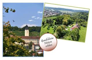 Einfamilienhaus kaufen in 74831 Gundelsheim, *** Einfamilienhaus in idyllischer Lage von Gundelsheim ***