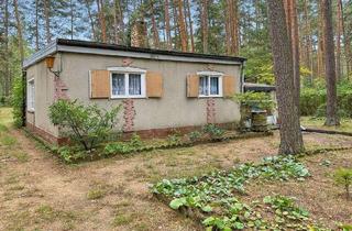 Haus kaufen in 14822 Borkheide, Grüne Idylle - Bungalow auf großem Grundstück von Wald umgeben in Borkheide