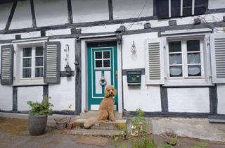 Haus kaufen in 51702 Bergneustadt, Preissenkung! Rustikales Fachwerkhaus in naturnaher Lage