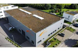 Gewerbeimmobilie kaufen in Kranzhaldenstraße 31, 73249 Wernau, Hochwertige Halle/Produktion (7,50 m Höhe)