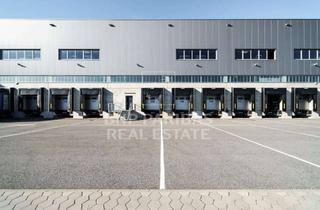 Gewerbeimmobilie mieten in 84453 Mühldorf, Hochmoderne Hallenfläche an der A94 mit Rampenandienung