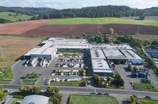 Gewerbeimmobilie mieten in 96524 Neuhaus-Schierschnitz, 1A-Produktionsstandort - Mietflächen ab 3.000 m²