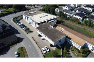 Gewerbeimmobilie mieten in Flinsbacher Straße, 74921 Helmstadt-Bargen, Gewerbefläche mit Showroom-Charakter – flexibel nutzbar für Produktion, Service oder Ausstellung