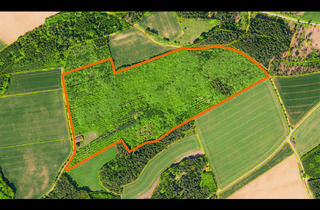 Grundstück zu kaufen in 96142 Hollfeld, Viel Wald und eine Maschinenhalle - Fast 13,5 ha Fläche in Hollfeld Gemarkung Drosendorf
