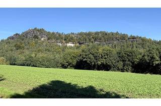 Grundstück zu kaufen in 01824 Gohrisch, Bungalow mit einmaliger Aussicht