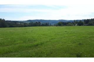 Grundstück zu kaufen in 07985 Elsterberg, Baugrundstück in Elsterberg