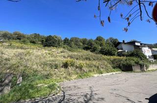 Grundstück zu kaufen in 64625 Bensheim, Blick - Ruhe und bebaubar mit 1-3 Familienhaus!