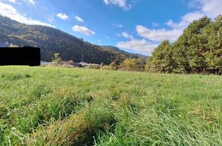 Grundstück zu kaufen in Anton-Götz-Straße 53, 76593 Gernsbach, Grundtsück Eben 2 Hilpertsau