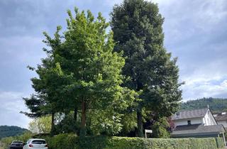 Grundstück zu kaufen in 77749 Hohberg, Idyllisches Baugrundstück im Grünen – ideal für Familien, vielseitig bebaubar, Nähe Offenburg & A5