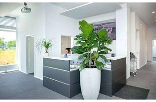 Praxen mieten in 78467 Konstanz, Heller Raum in renommierter Osteopathiepraxis – ab sofort, flexibel nutzbar