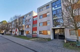Immobilie mieten in Ludwig-Quessel-Weg, 64297 Eberstadt, Penthouse-Wohnung in DA-Eberstadt