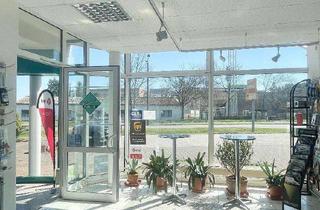 Lager mieten in Schmiedeberger Straße 31, 04849 Bad Düben, BAD DÜBEN * PRAXIS / BÜRO / EINZELHANDEL mit LAGERFLÄCHE, GROSSER GARAGE und STELLPLÄTZEN