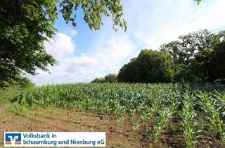 Gewerbeimmobilie kaufen in 31749 Auetal, Ackerflächen im Auetal; Verkauf gegen Gebot