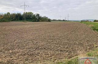 Gewerbeimmobilie kaufen in 89073 Mitte, Grundstück mit Biogasanlage und Ackerfläche östlich von Ulm zu verkaufen!