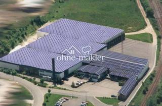 Büro zu mieten in 66130 Güdingen, 1000m² Lager- und Produktionshalle im Industriegebiet 2,75 €/m² nähe Saarbrücken (Optionale Büros)