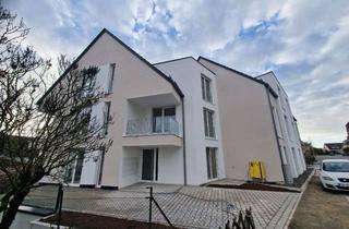 Wohnung mieten in Lange Straße 14, 72285 Pfalzgrafenweiler, Helle 2,5-Zimmer-Wohnung in Pfalzgrafenweiler